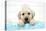 Labrador Retriever Puppy with in Bath with Soap Bubbles-null-Stretched Canvas