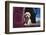 Labrador retriever puppy-Zandria Muench Beraldo-Framed Photographic Print