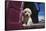 Labrador retriever puppy-Zandria Muench Beraldo-Framed Stretched Canvas