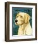 Labrador Retriever-John Golden-Framed Giclee Print