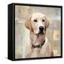 Labrador Retriever-Keri Rodgers-Framed Stretched Canvas