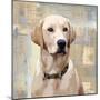 Labrador Retriever-Keri Rodgers-Mounted Art Print