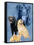 Labrador Retrievers-Barbara Keith-Framed Stretched Canvas