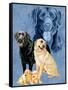 Labrador Retrievers-Barbara Keith-Framed Stretched Canvas