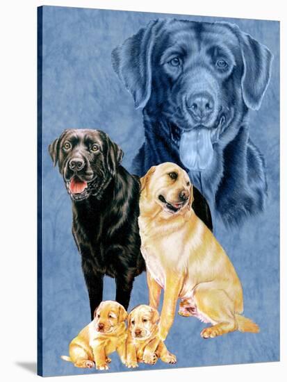 Labrador Retrievers-Barbara Keith-Stretched Canvas