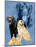 Labrador Retrievers-Barbara Keith-Mounted Giclee Print