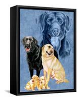 Labrador Retrievers-Barbara Keith-Framed Stretched Canvas