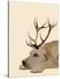 Labrador with Antlers-Fab Funky-Stretched Canvas