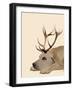 Labrador with Antlers-Fab Funky-Framed Art Print