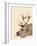 Labrador with Antlers-Fab Funky-Framed Art Print