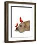 Labrador with Red Birds-Fab Funky-Framed Art Print