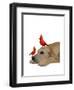 Labrador with Red Birds-Fab Funky-Framed Art Print