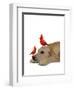 Labrador with Red Birds-Fab Funky-Framed Art Print