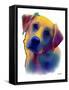 Labrador Yellow 1-Marlene Watson-Framed Stretched Canvas