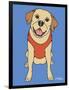 Labrador Yellow-Tomoyo Pitcher-Framed Giclee Print