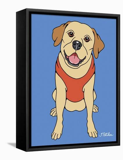 Labrador Yellow-Tomoyo Pitcher-Framed Stretched Canvas