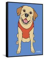 Labrador Yellow-Tomoyo Pitcher-Framed Stretched Canvas