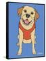 Labrador Yellow-Tomoyo Pitcher-Framed Stretched Canvas