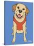 Labrador Yellow-Tomoyo Pitcher-Stretched Canvas