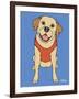 Labrador Yellow-Tomoyo Pitcher-Framed Giclee Print