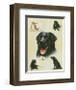 Labrador-Libero Patrignani-Framed Art Print