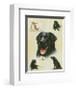 Labrador-Libero Patrignani-Framed Art Print