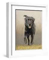 Labrador-John Silver-Framed Giclee Print