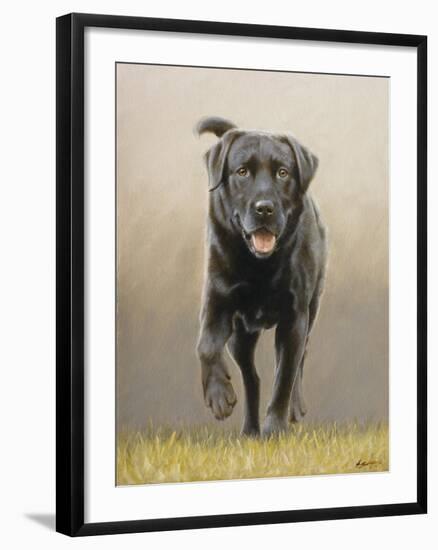 Labrador-John Silver-Framed Giclee Print