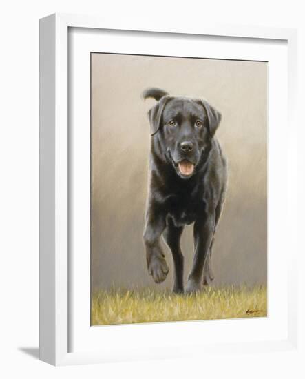 Labrador-John Silver-Framed Giclee Print