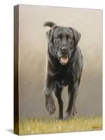 Labrador-John Silver-Stretched Canvas