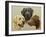 Labrador-John Silver-Framed Giclee Print