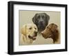 Labrador-John Silver-Framed Giclee Print