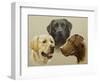 Labrador-John Silver-Framed Giclee Print