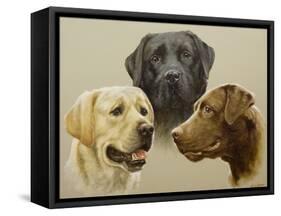 Labrador-John Silver-Framed Stretched Canvas
