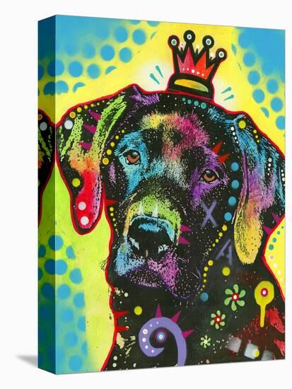 Labrador-Dean Russo-Stretched Canvas