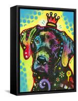 Labrador-Dean Russo-Framed Stretched Canvas