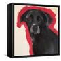 Labrador-Sally Muir-Framed Stretched Canvas