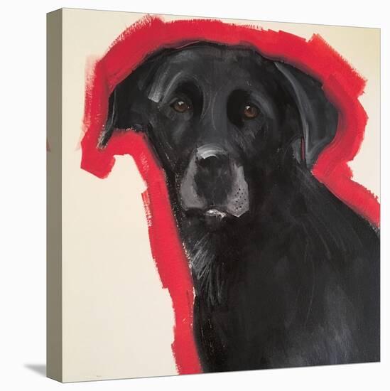 Labrador-Sally Muir-Stretched Canvas