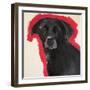 Labrador-Sally Muir-Framed Giclee Print