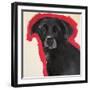 Labrador-Sally Muir-Framed Giclee Print