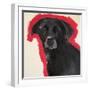 Labrador-Sally Muir-Framed Giclee Print