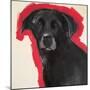 Labrador-Sally Muir-Mounted Giclee Print