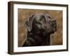 Labrador-John Silver-Framed Giclee Print