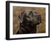 Labrador-John Silver-Framed Giclee Print