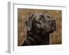 Labrador-John Silver-Framed Giclee Print