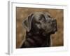 Labrador-John Silver-Framed Giclee Print