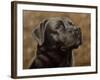 Labrador-John Silver-Framed Giclee Print