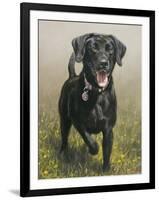 Labrador-John Silver-Framed Giclee Print