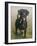 Labrador-John Silver-Framed Giclee Print