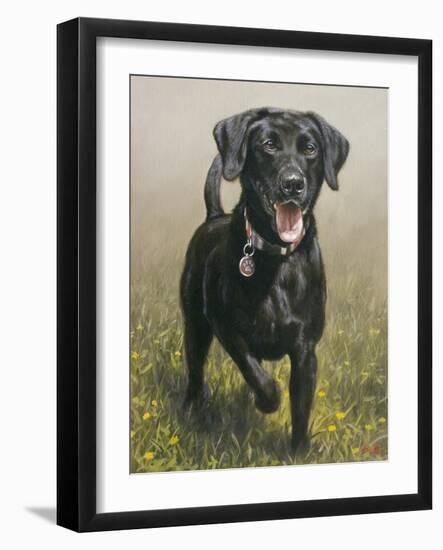 Labrador-John Silver-Framed Giclee Print